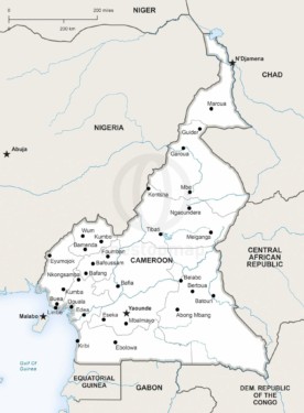 Map of Cameroon political