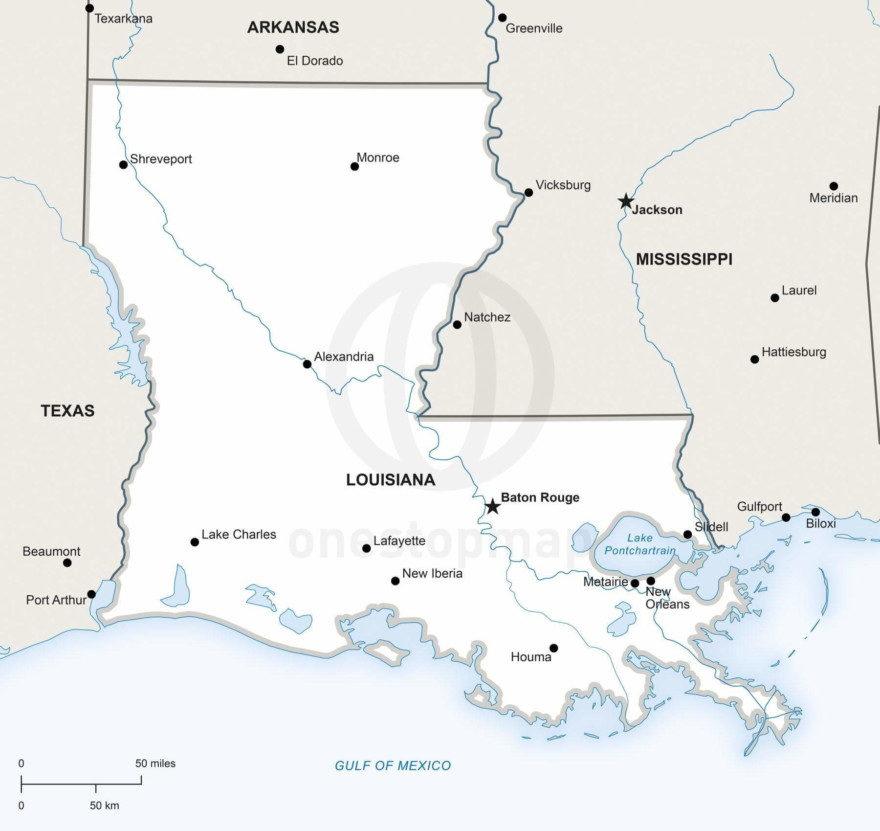 Vector map of Louisiana political