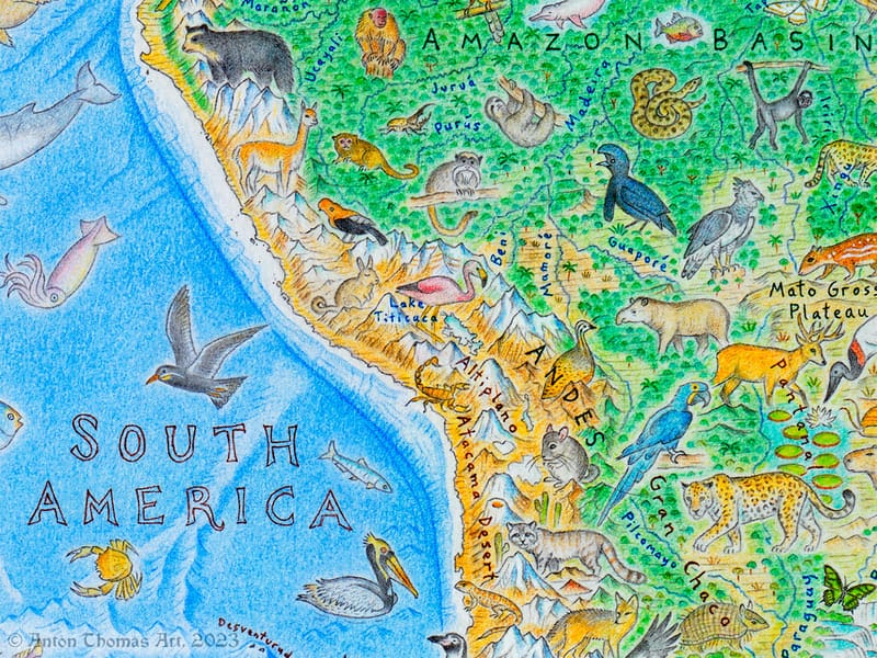 A stunning map of South America with beautiful animals depicted on it.